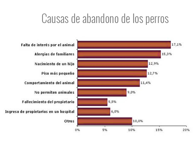 Castración de los perros gráfico causas abandono