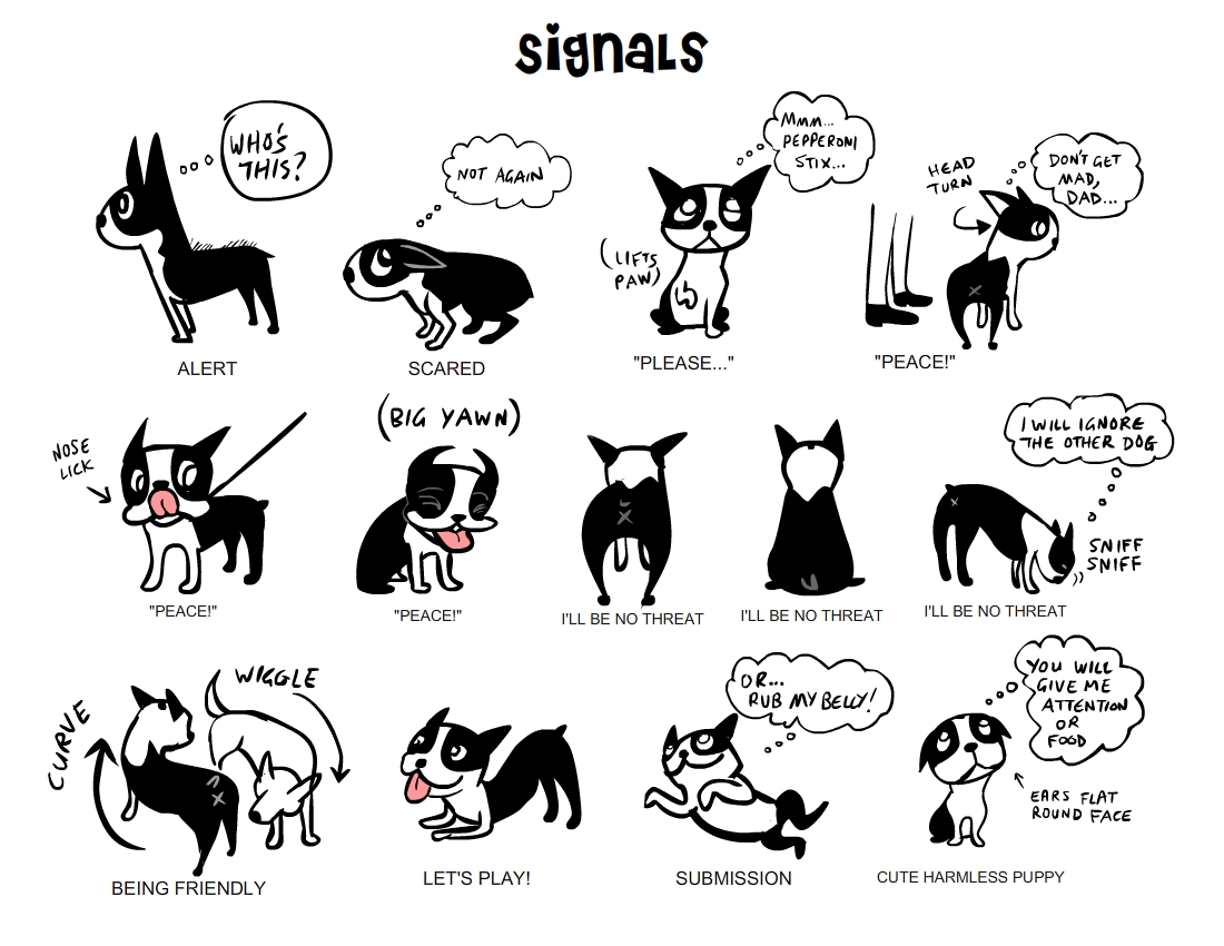 Señales de comunicación perros, ilustración Lili Chin