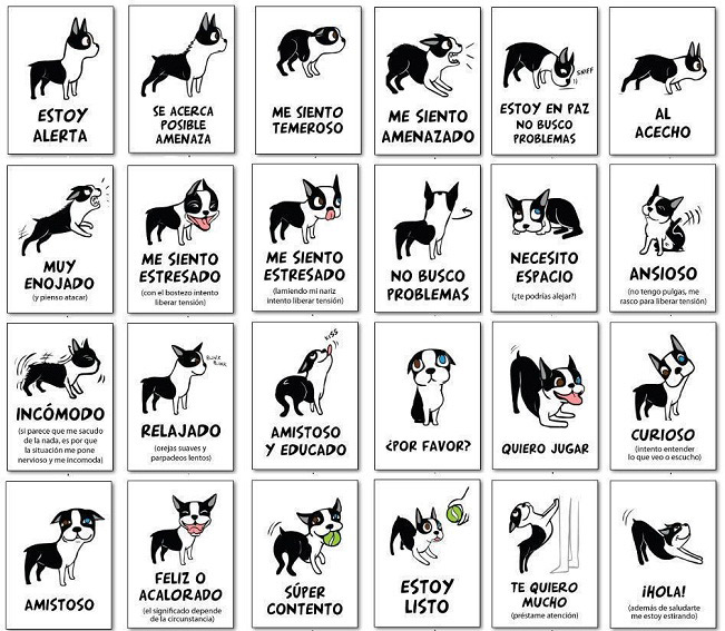 El lenguaje de los perros en una ilustración de Lili Chin 