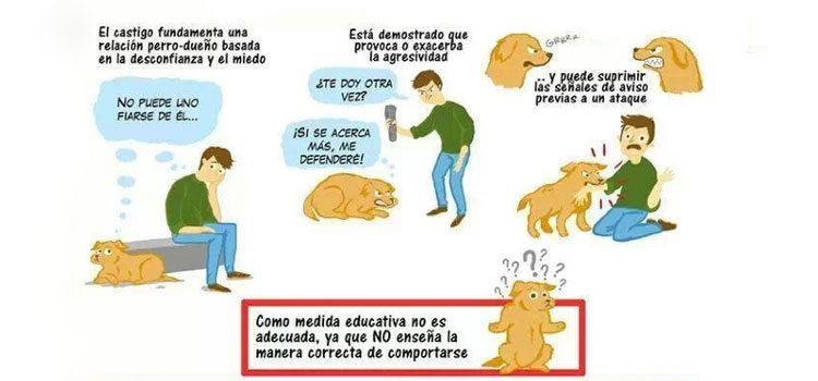Que podemos hacer si mi perro gruñe por protección de recursos