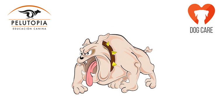 Mordida perros: señales de calma y amenaza