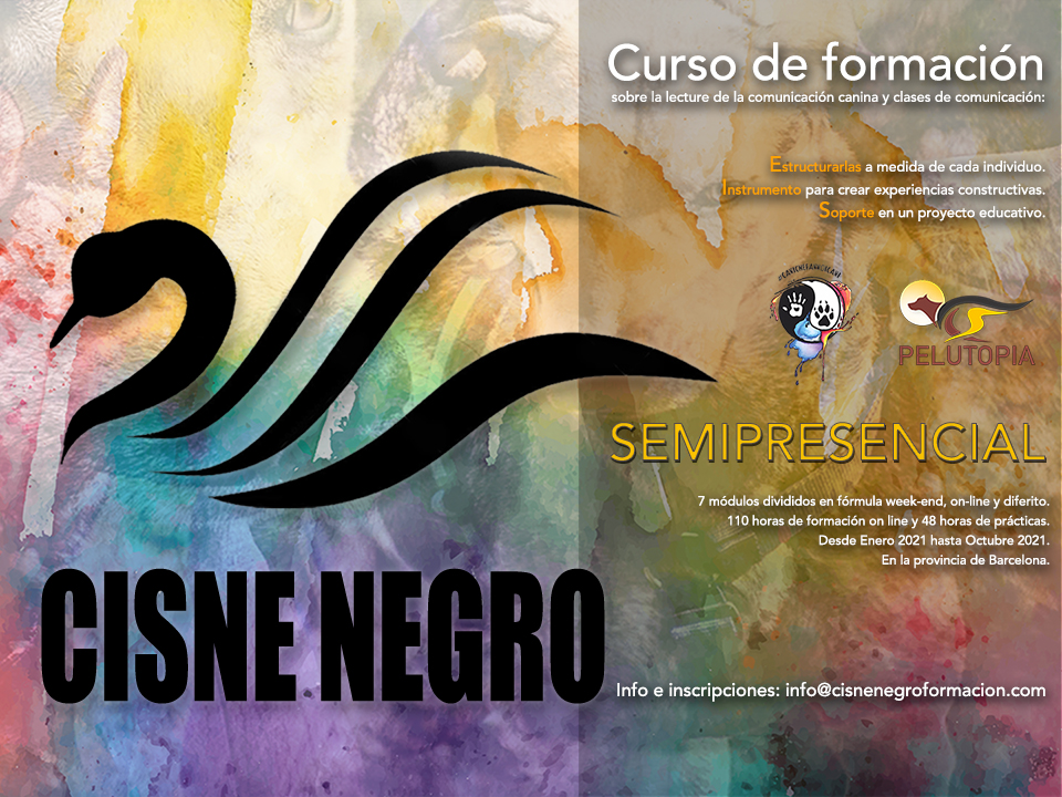 Curso Cisne Negro 2021 Etología canina y comunicación