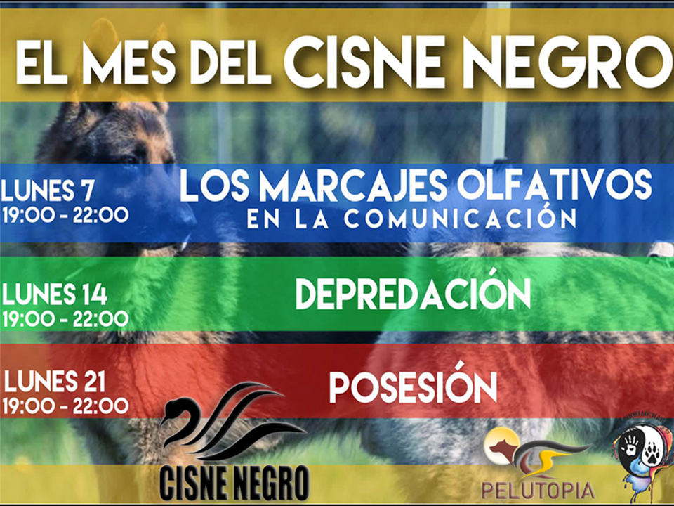 Webinar - el mes del Cisne Negro etología canina y comunicación