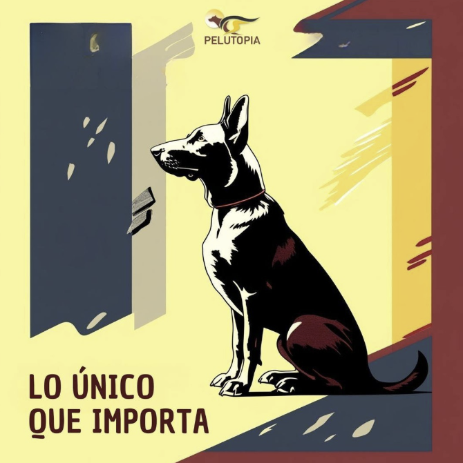 Un perro asustado se asoma con miedo desde una puerta entreabierta, con el texto "Lo único que importa".