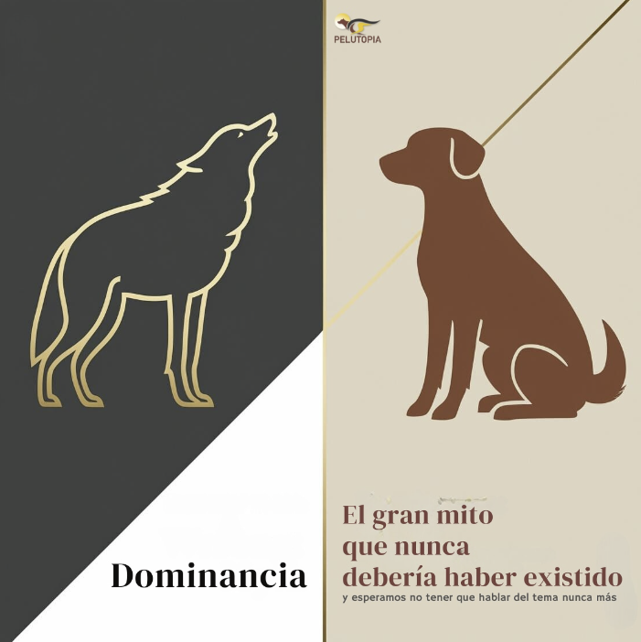 Comparación entre un lobo y un perro con el texto "Dominancia: el gran mito que nunca debería haber existido".