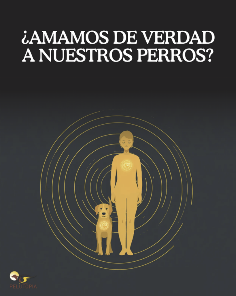 Silueta de una persona y un perro con círculos de energía en el pecho, con el texto "¿Amamos de verdad a nuestros perros?".